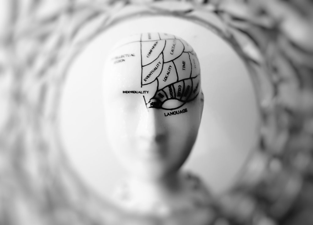 cognitive-theory-psychology